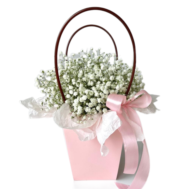Букет цветов "Сумочка с белой гипсофилой"